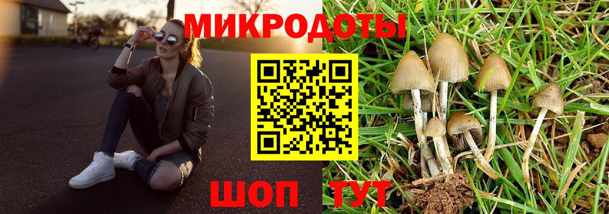 Кудрово  Псилоцибиновые грибы Cubensis  Вход с VPN 